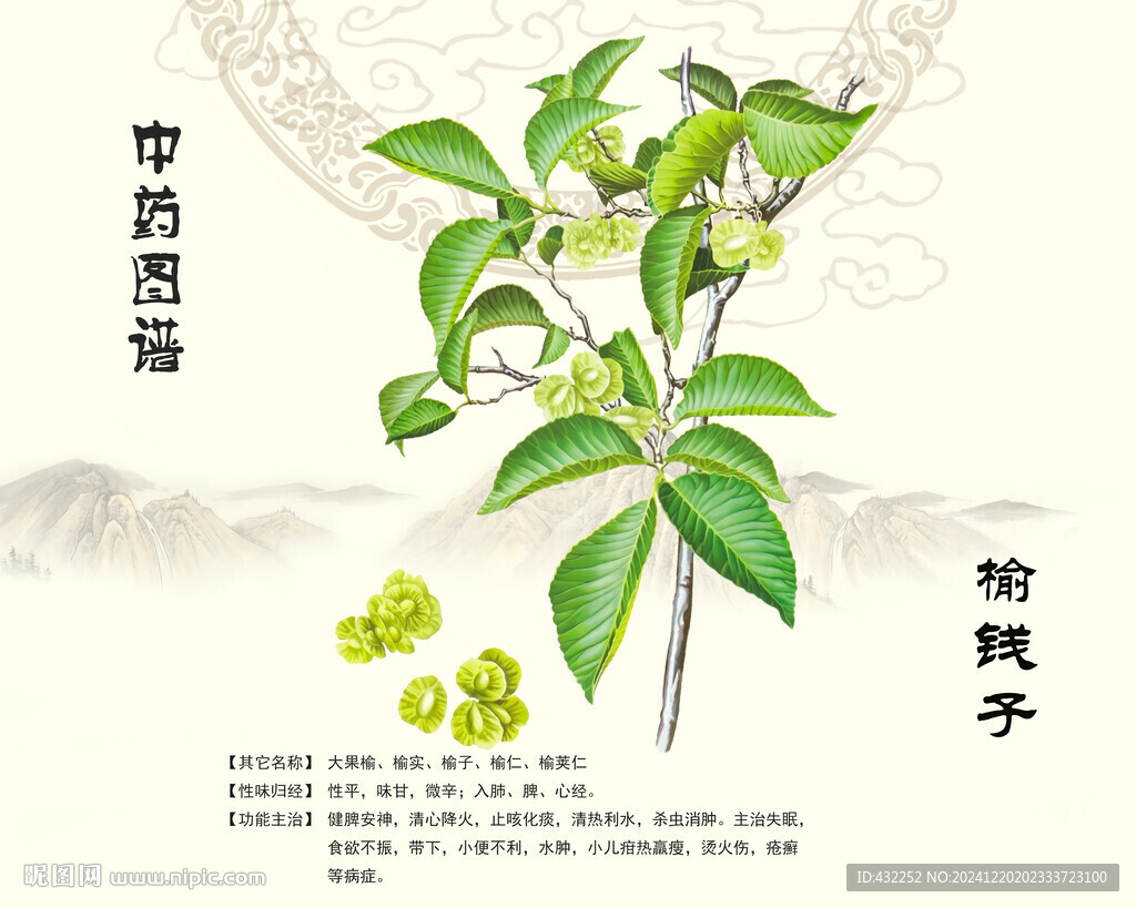 榆钱子榆钱