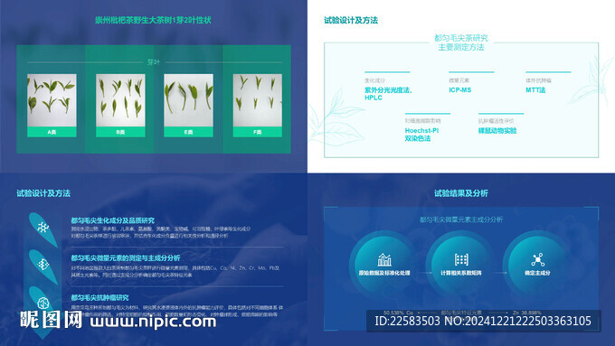 野生茶叶芽叶研究论文PPT