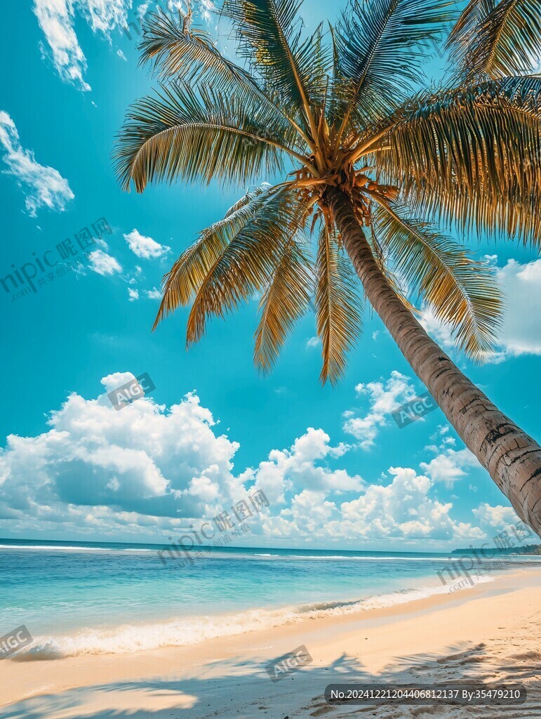 椰林海滨大海树木