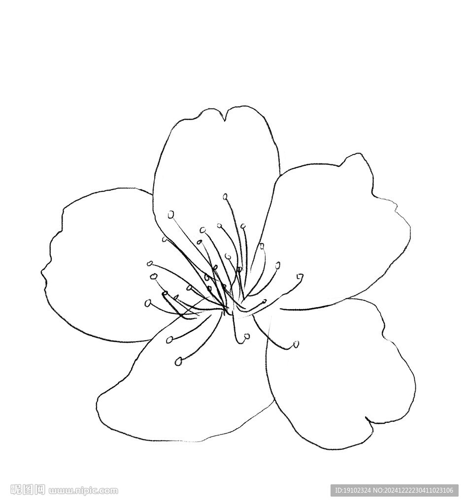 手绘桃花