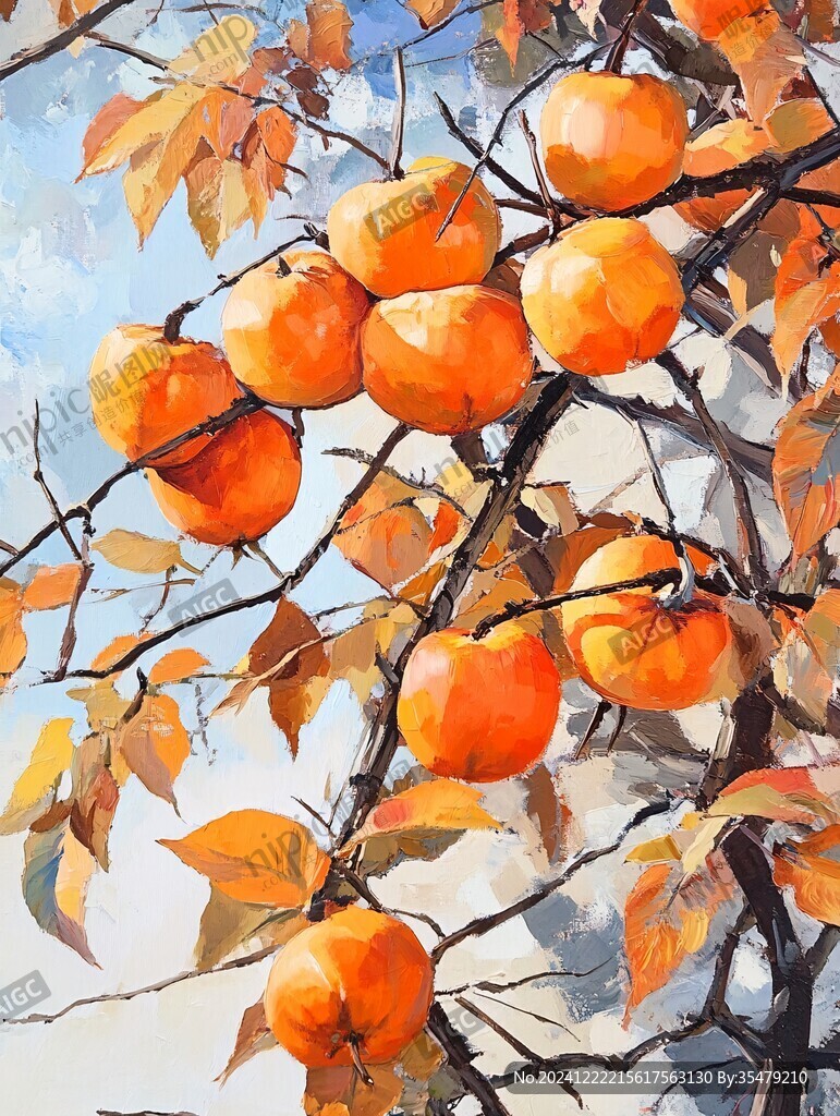 柿树插画