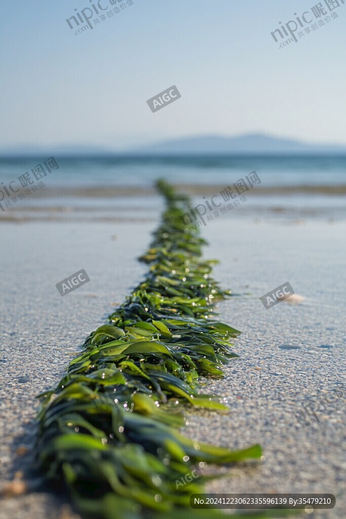 海带之乡