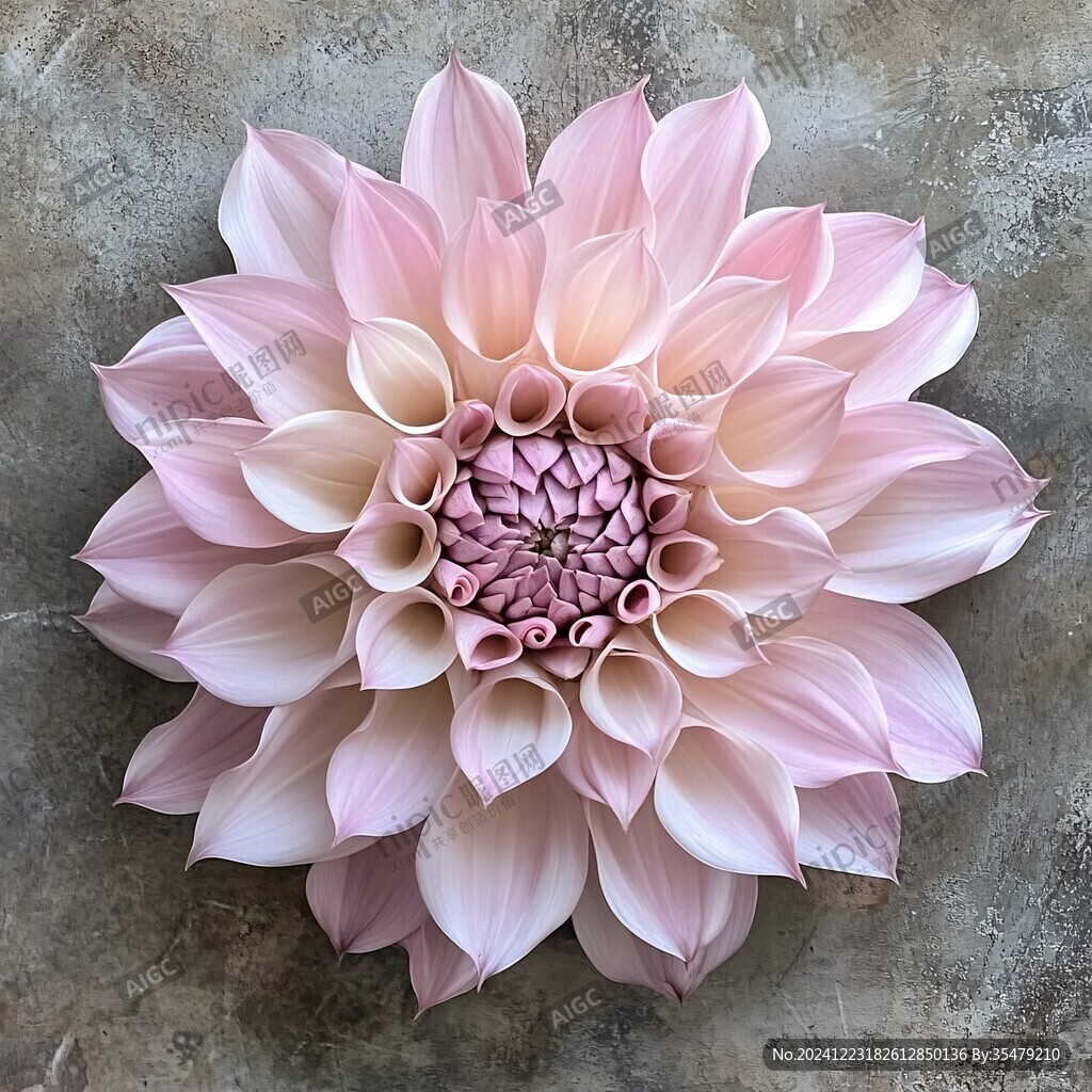 3d立体花装饰画