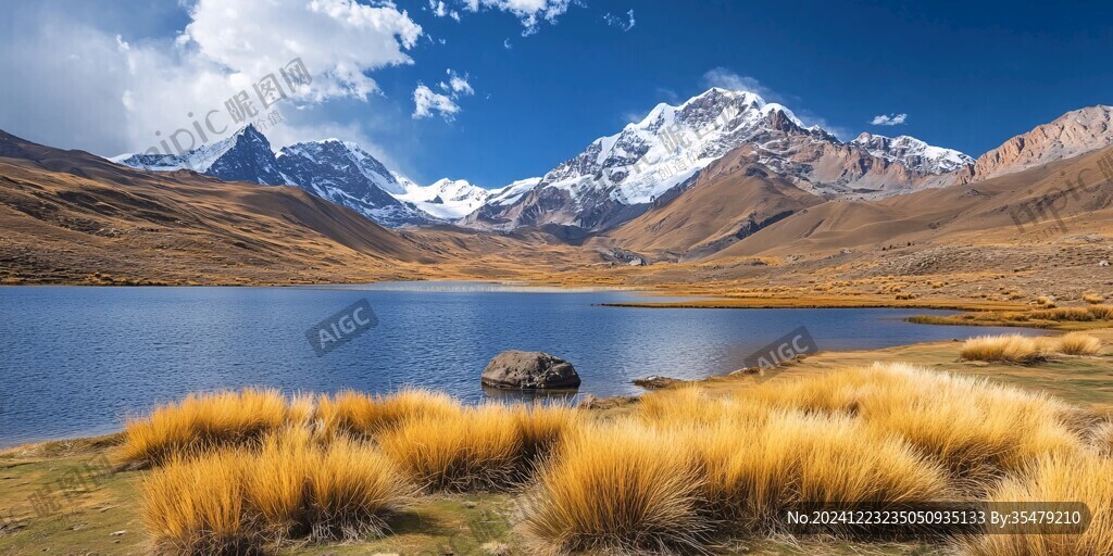 安第斯山脉高地地区