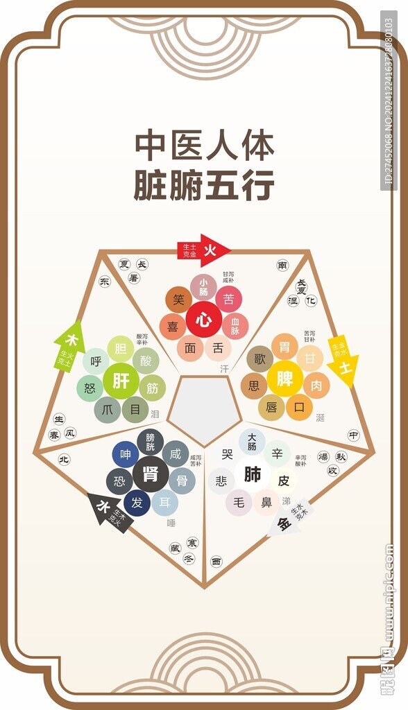 脏腑五行