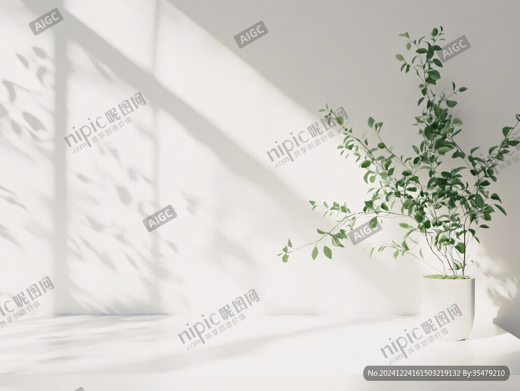 阳光植物窗台小绿植