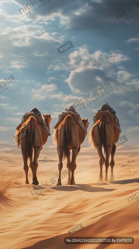 大漠骆驼风景