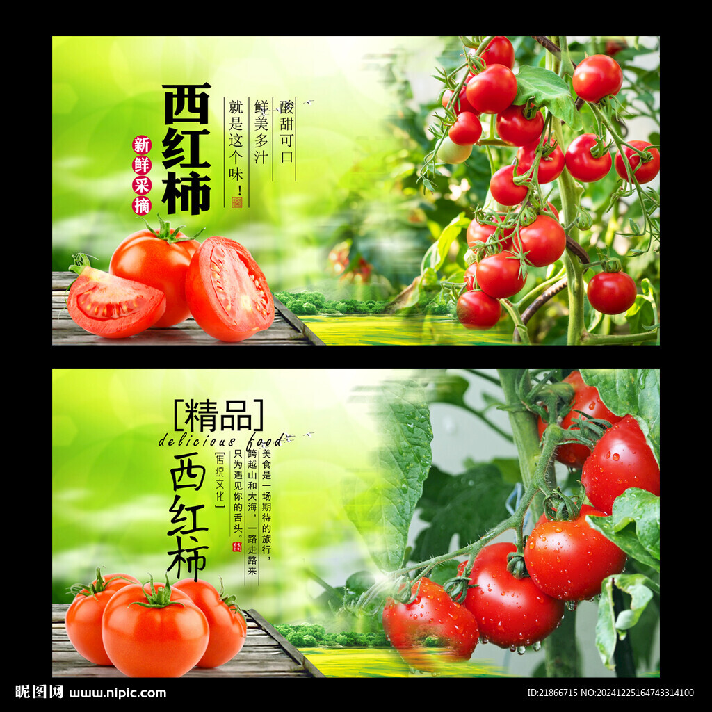 西红柿