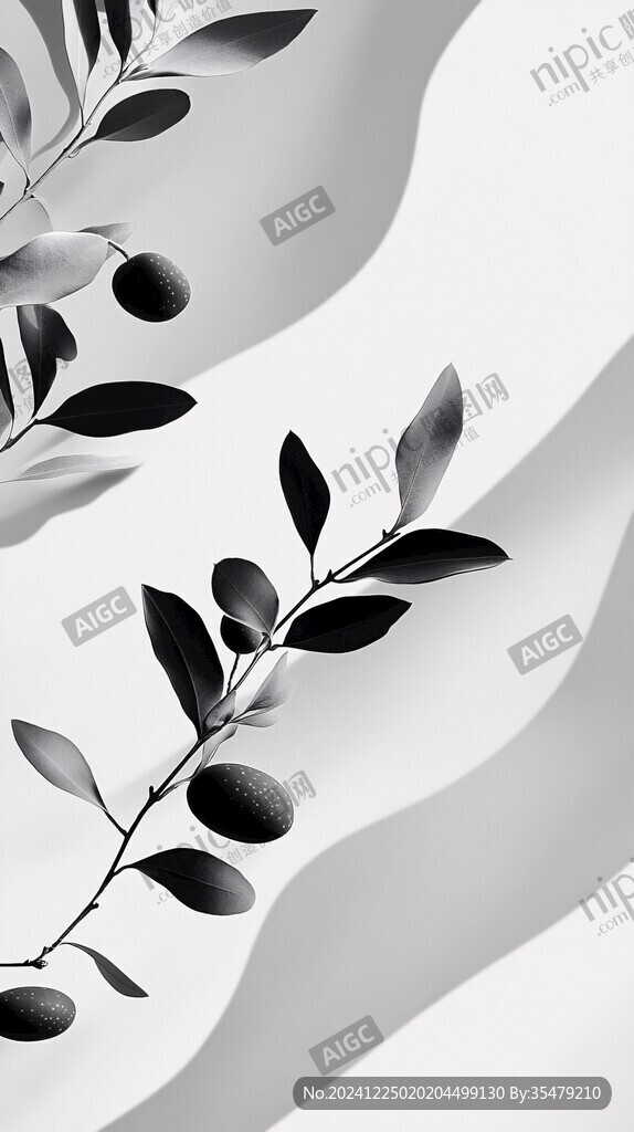 黑白树叶线条