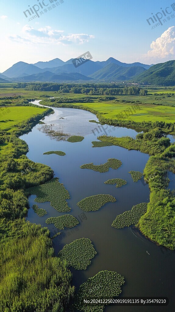 珍宝岛湿地风光