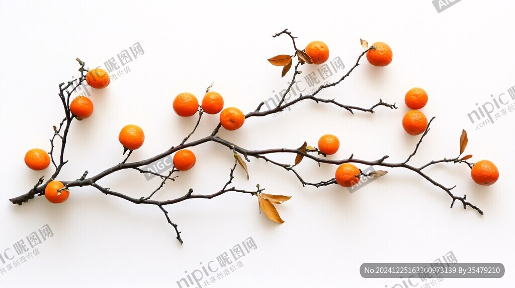 禅意冬枝红果