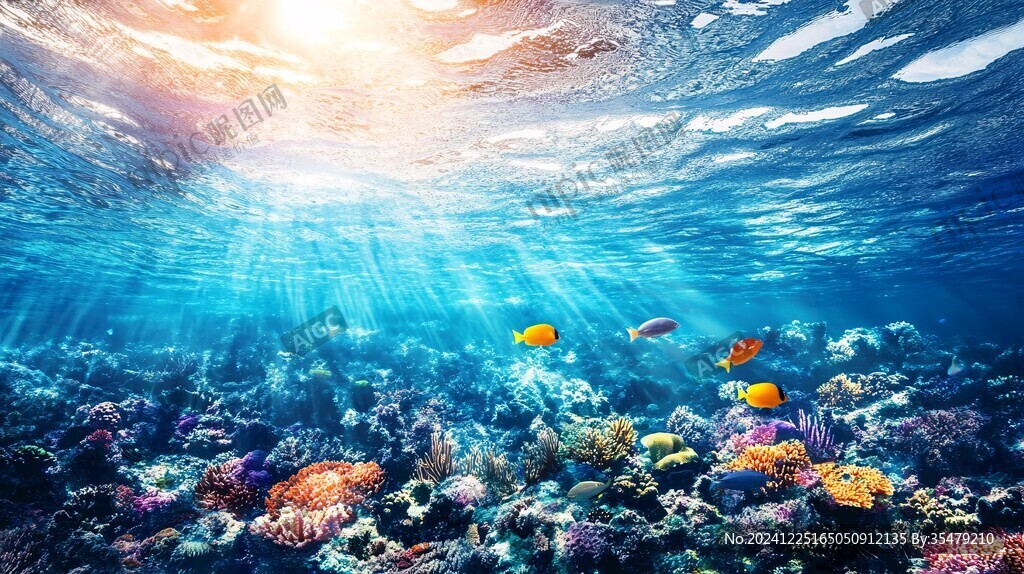 海底世界壁纸