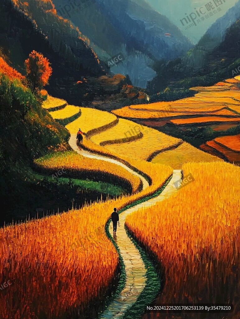 金黄的梯田