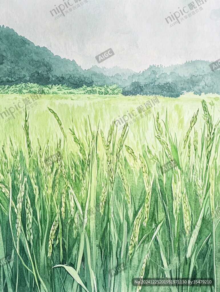 稻穗水彩画