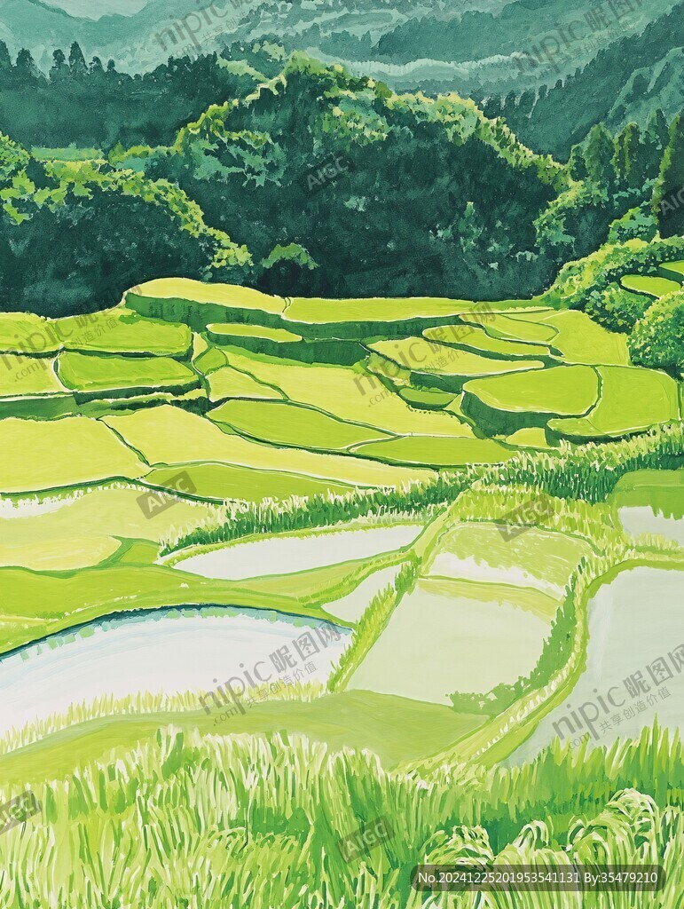 水稻梯田插画