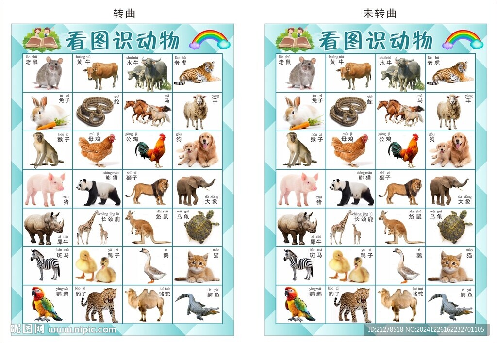 看图识动物