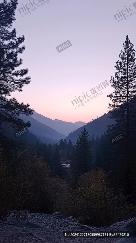 远山森林日出