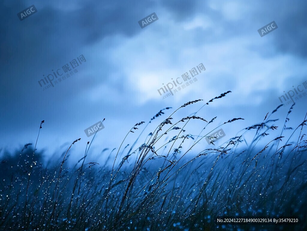 唯美高清草素材