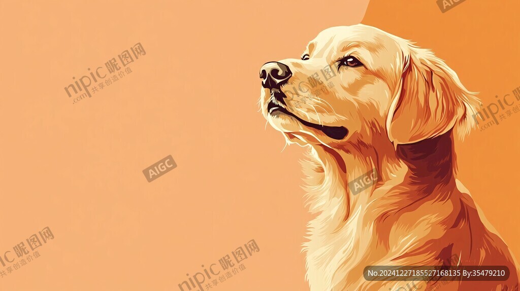 金毛犬插画