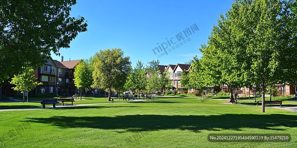 大学草坪