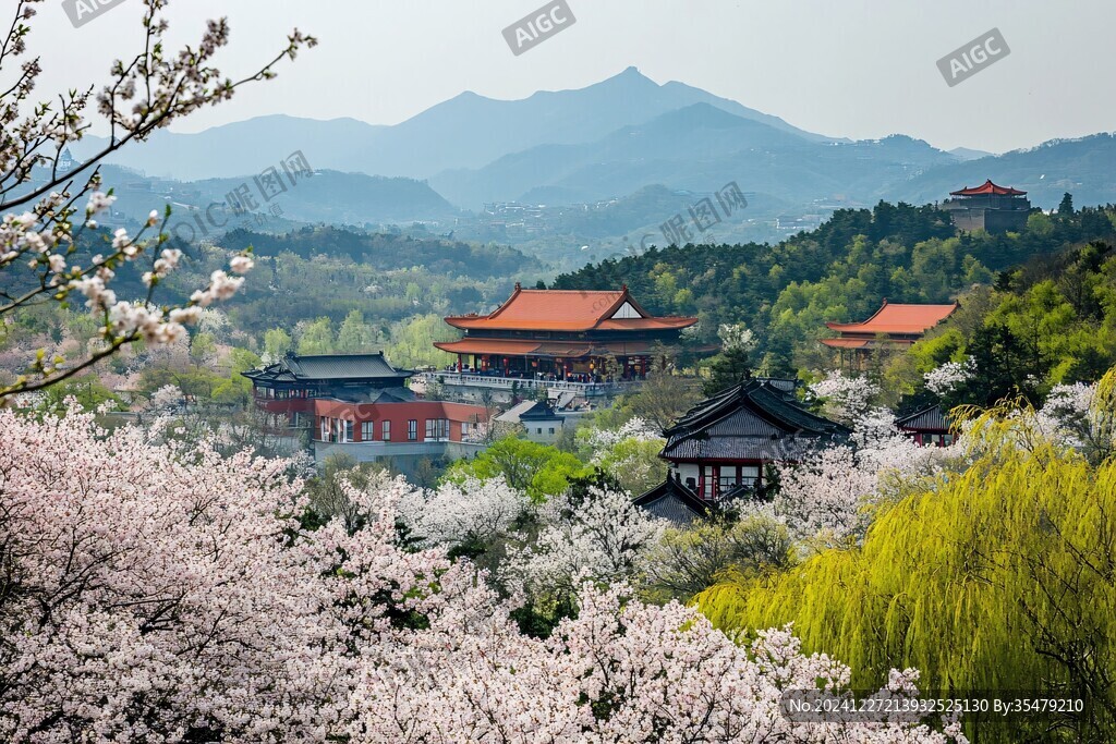 樱花峪全景