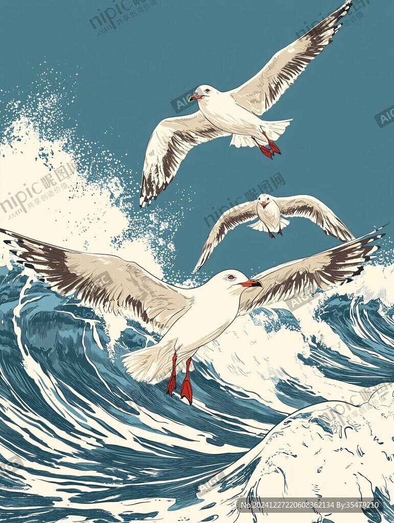 海鸥包装插画