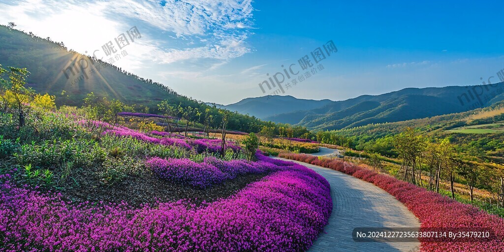秋色远山花海