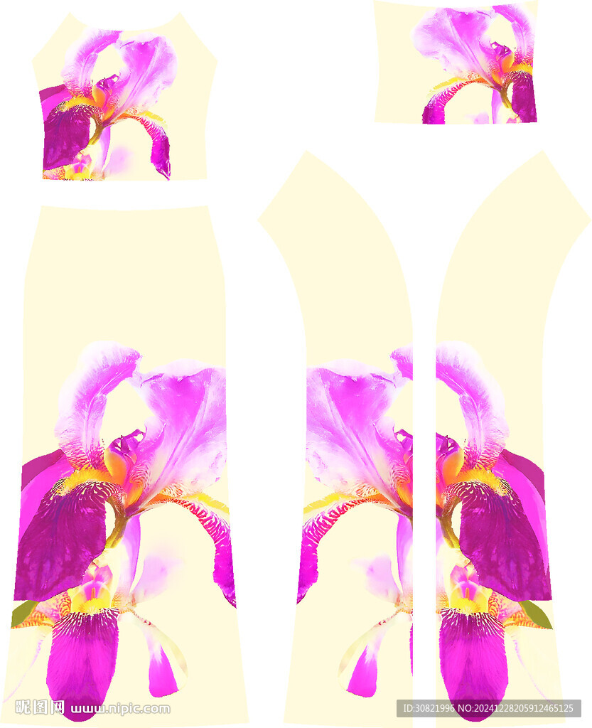 蝴蝶兰