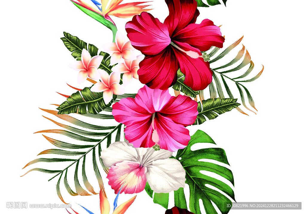 手绘红花
