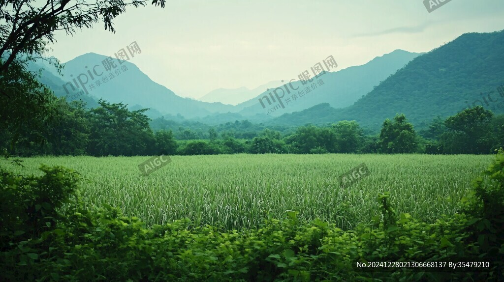 山野风景