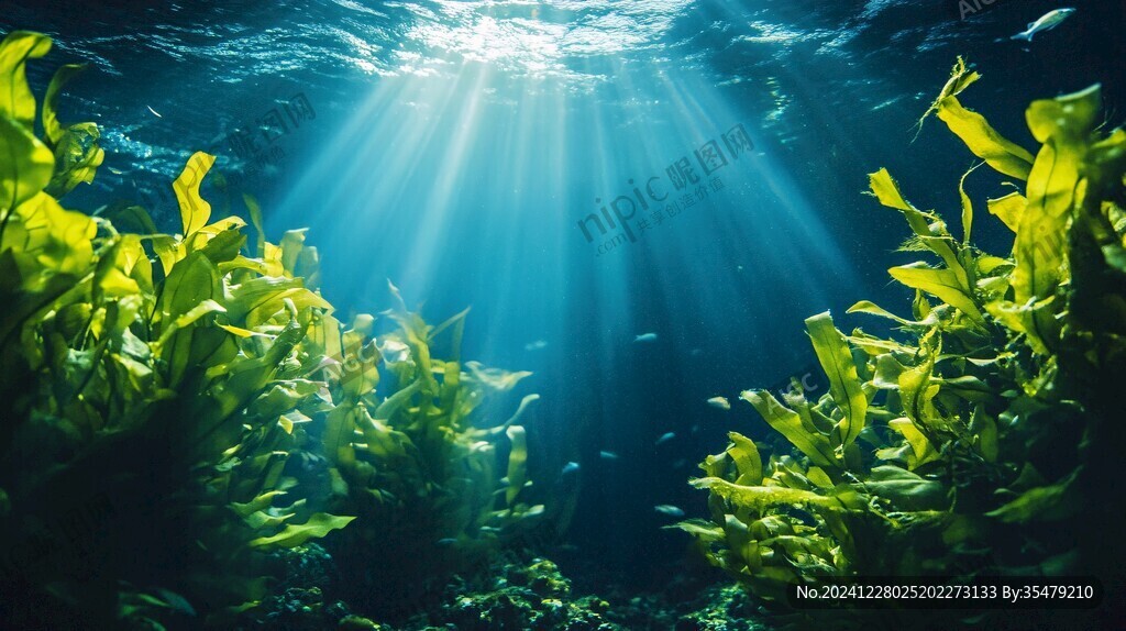 海底阳光