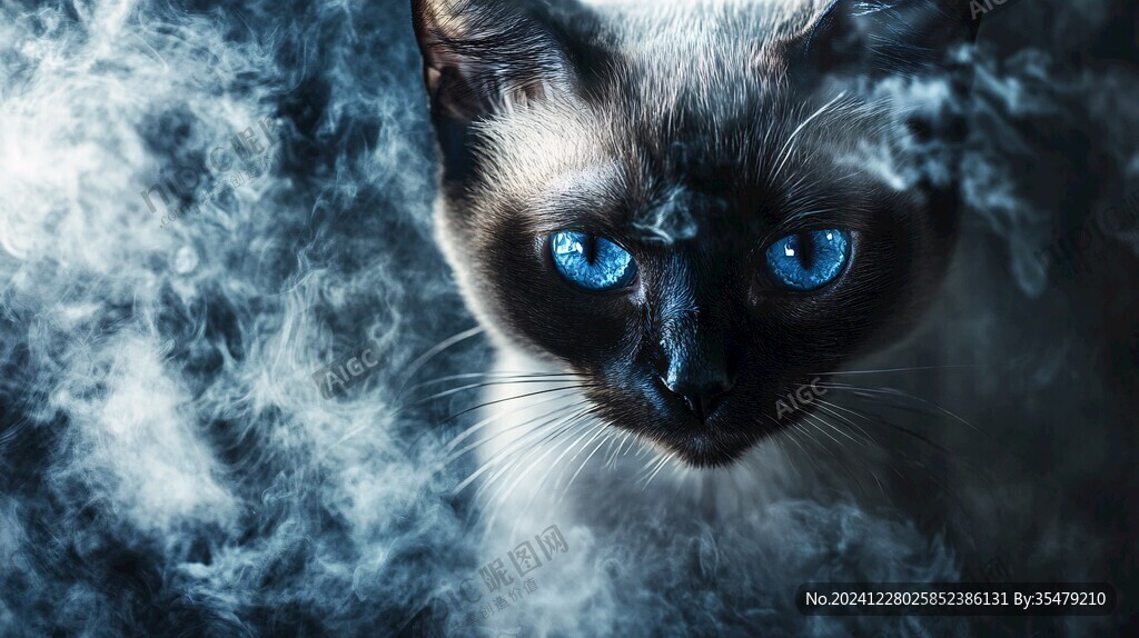 炫酷猫咪