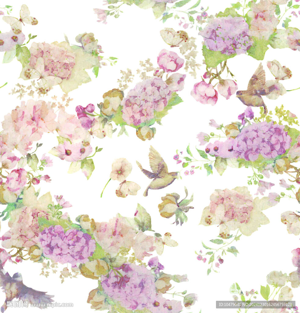 花鸟