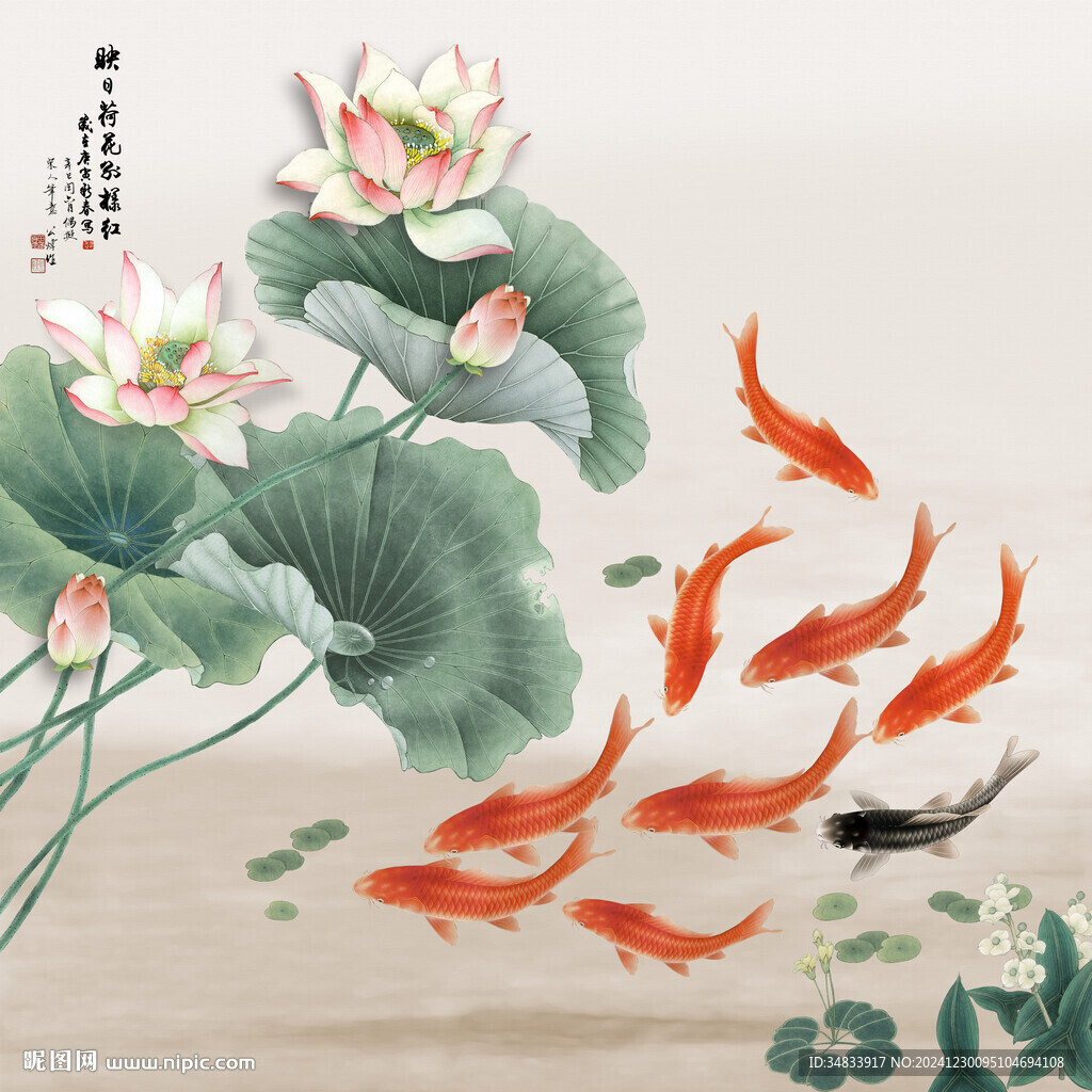 荷花
