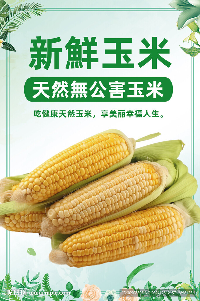 玉米