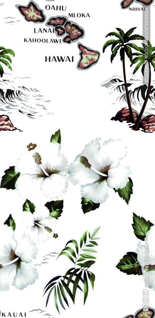 热带花卉