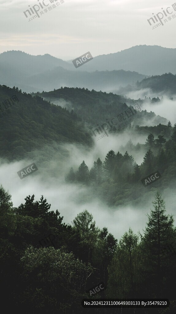 山林晨雾行摄