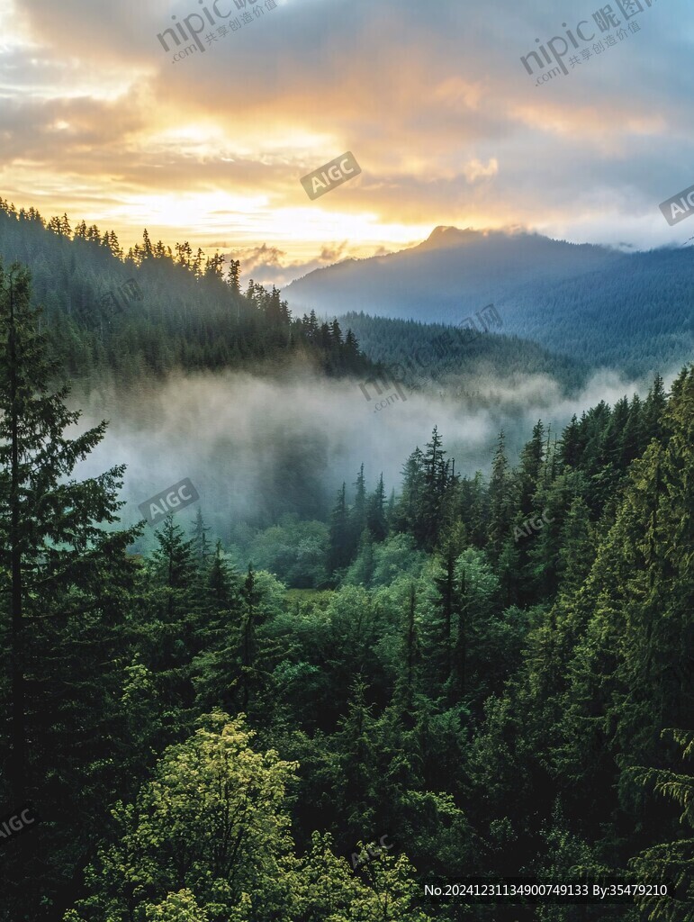 云雾缭绕高山森林草原