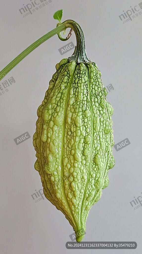 苦瓜鲜果