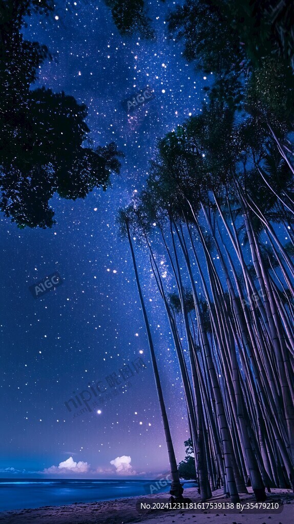 夜色下的椰树
