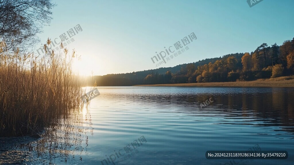 优美湖景秋景