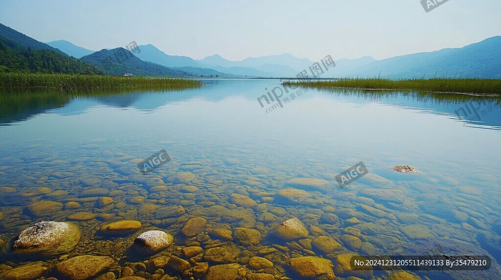 大九湖夏天