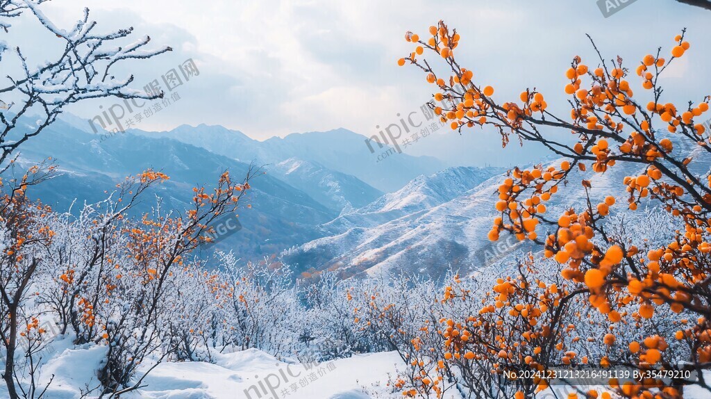 光雾山雪景监控器