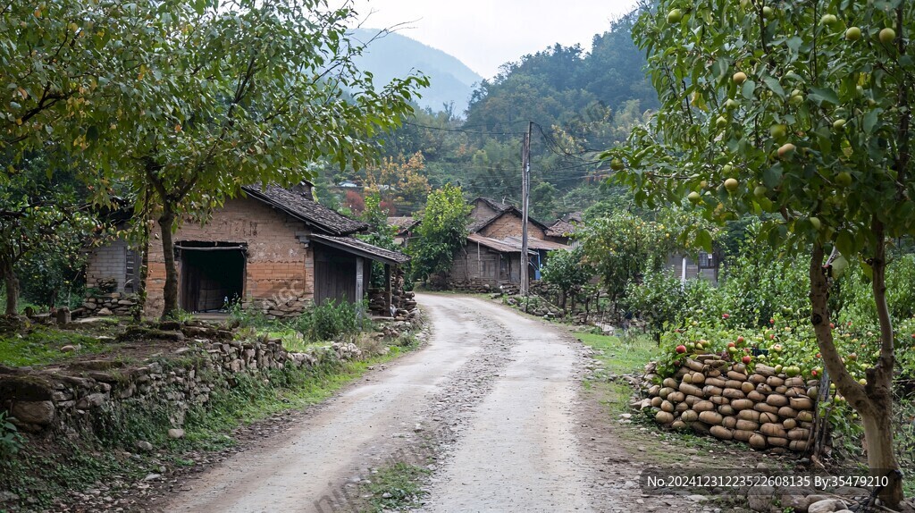 农家山路
