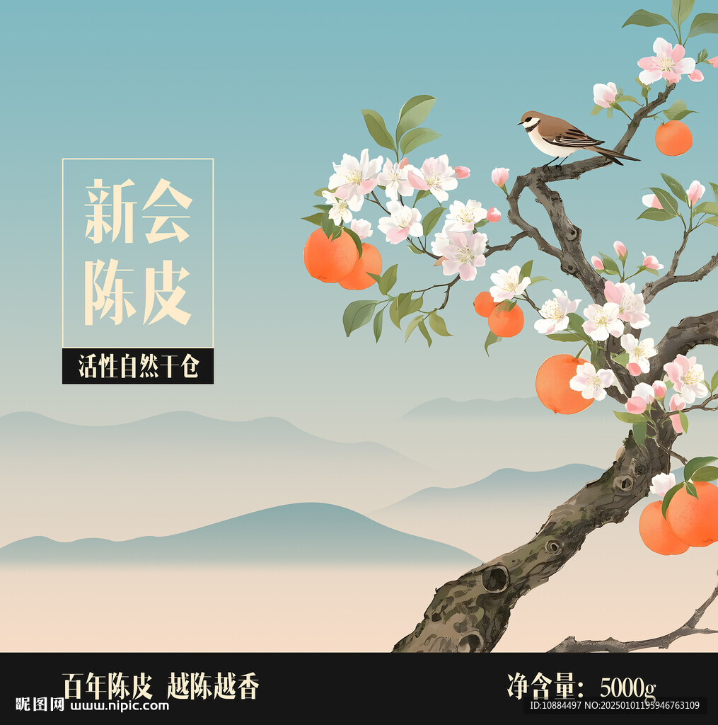 橘子插画