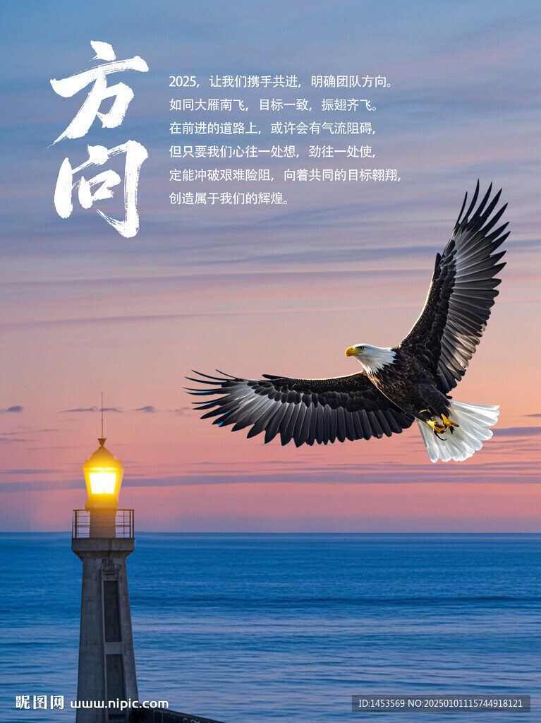 飞向灯塔的鹰