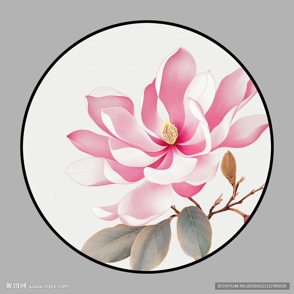 玉兰花