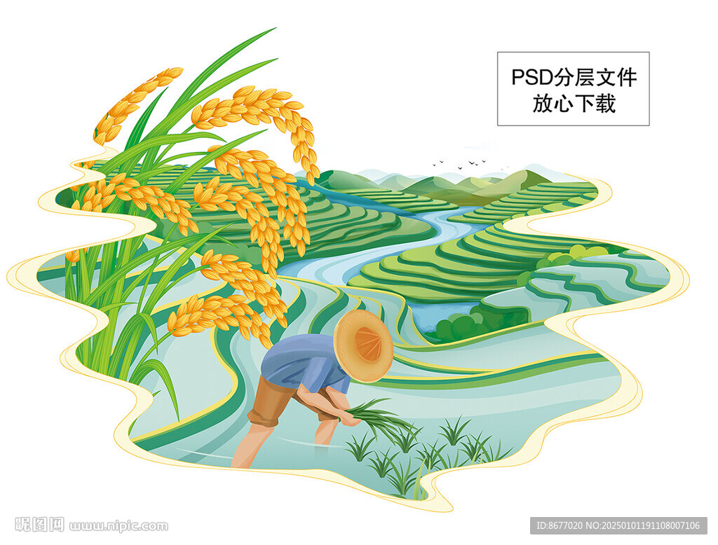 大米包装插画