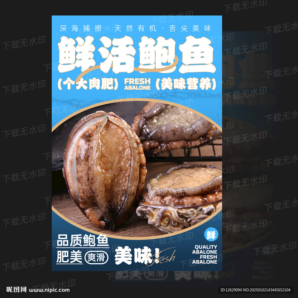 鲍鱼