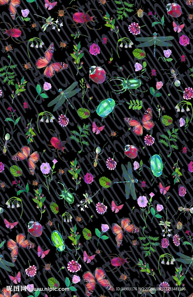 蜻蜓
